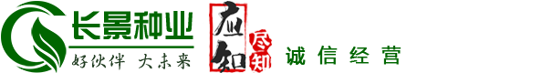 綠化苗木_園林綠化苗木價格_苗木報價-江蘇沭陽長景園林苗木場